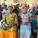 WhatsApp Image 2026-02-16 at 12.16.39